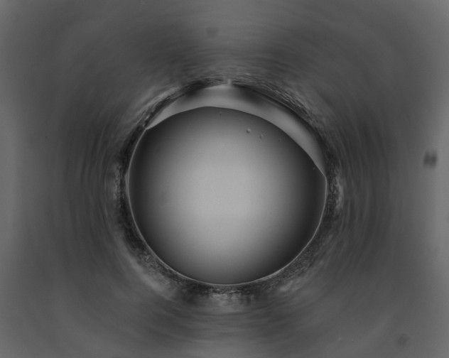 X0000091690744200708231440