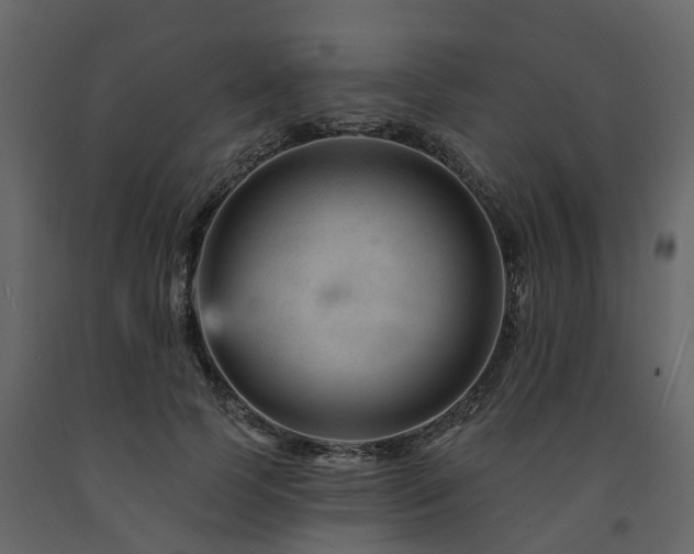 X0000091690745200708231440