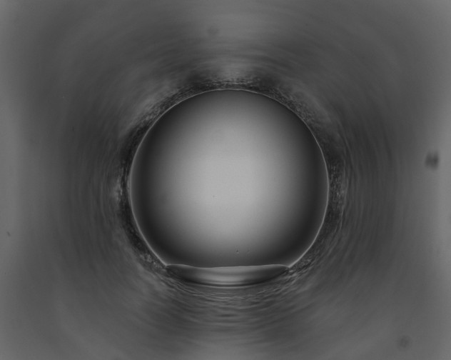 X0000091690746200708231440