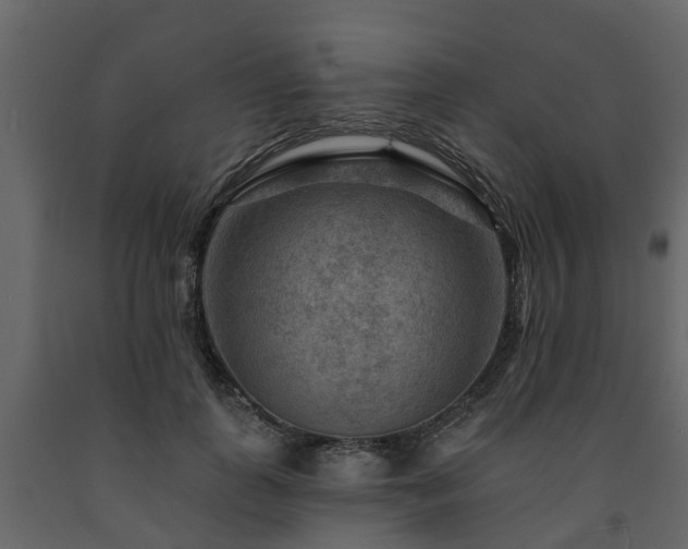 X0000091690747200708231440