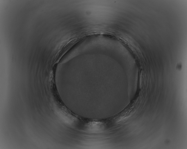 X0000091690748200708231440