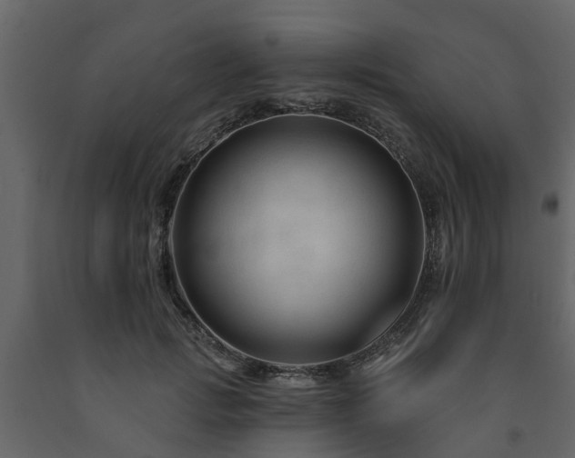 X0000091690749200708231440
