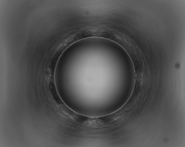 X0000091690752200708231440