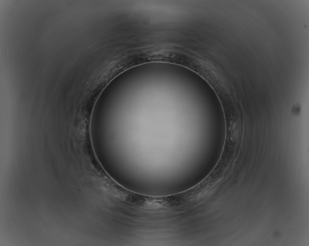 X0000091690753200708231440