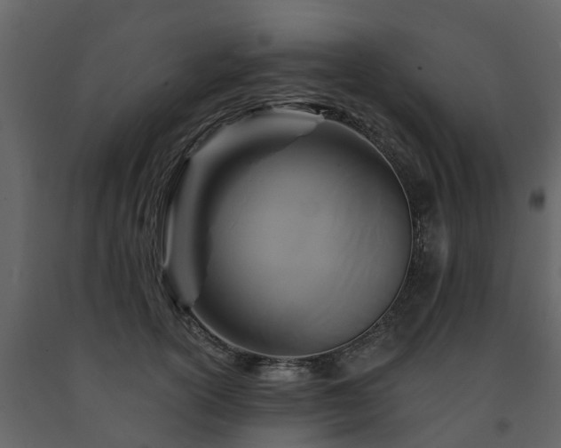 X0000091690754200708231440
