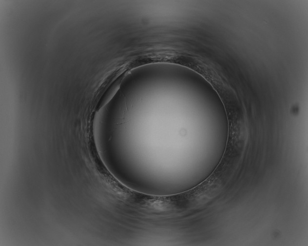 X0000091690755200708231440