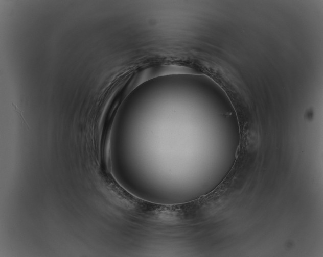 X0000091690756200708231440