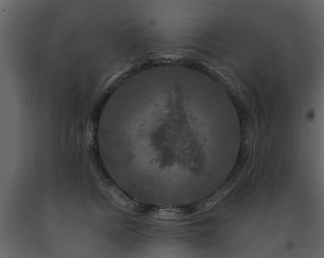 X0000091690758200708231440