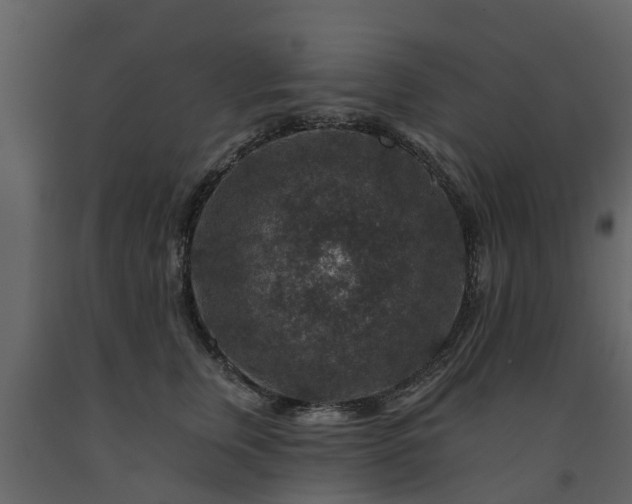 X0000091690759200708231440