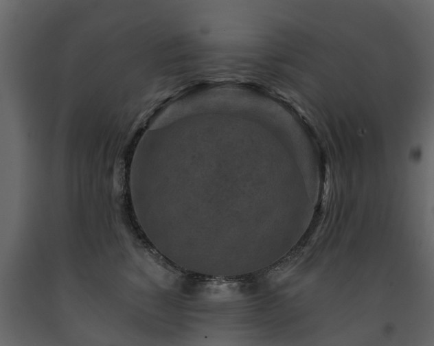 X0000091690760200708231440