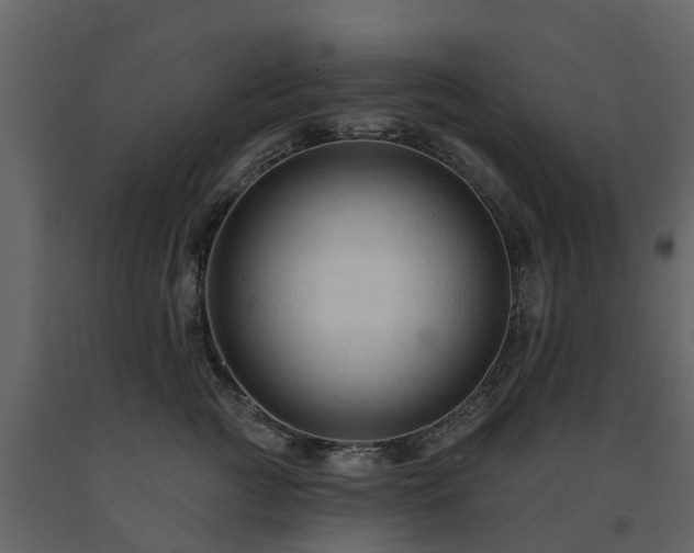X0000091690761200708231440