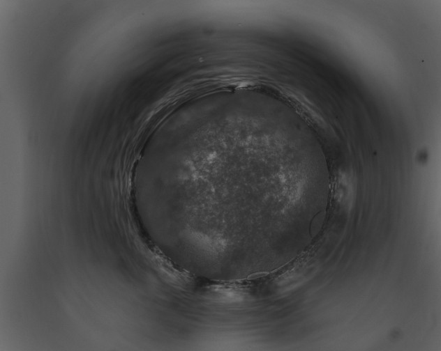 X0000091690763200708231440