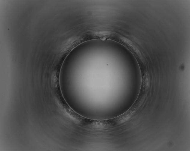 X0000091690764200708231440