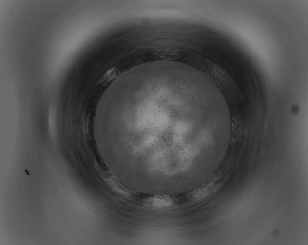 X0000091690765200708231440