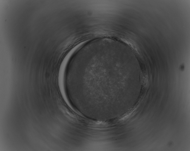 X0000091690766200708231440