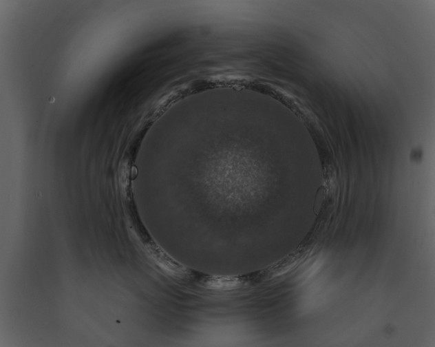 X0000091690767200708231440