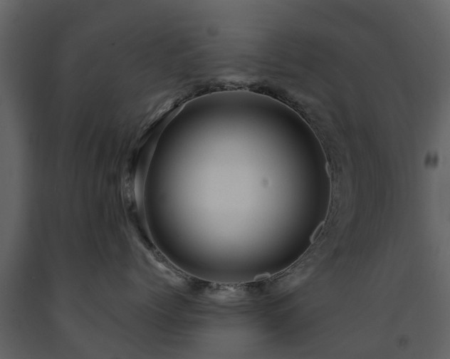 X0000091690768200708231440