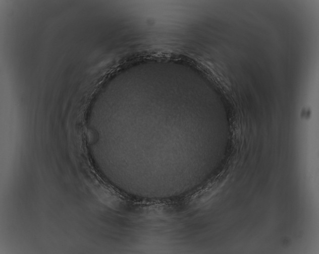 X0000091690769200708231439