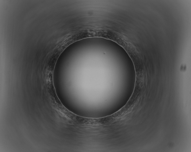 X0000091690770200708231439