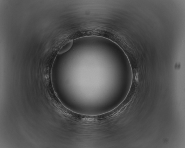 X0000091690771200708231439