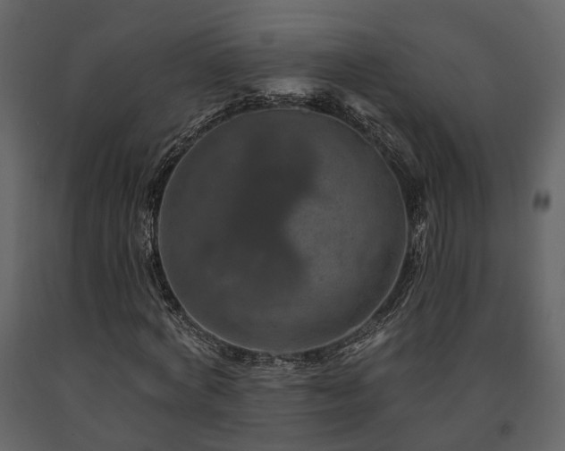 X0000091690772200708231439