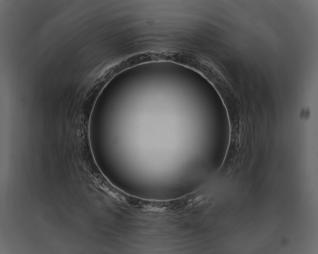 X0000091690773200708231439