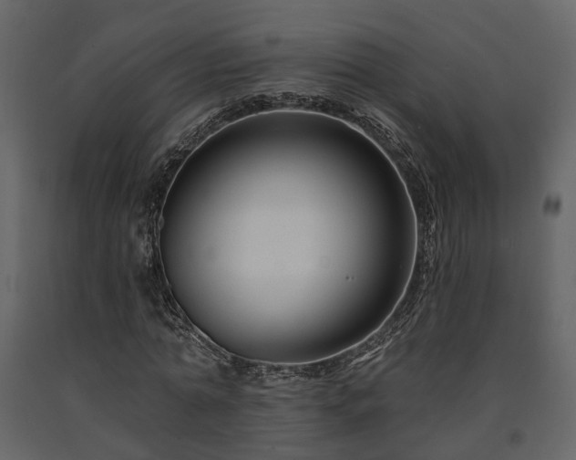 X0000091690774200708231439