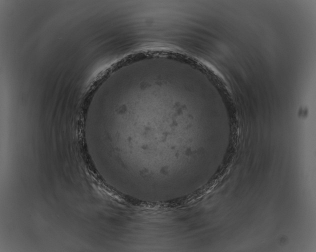 X0000091690775200708231439