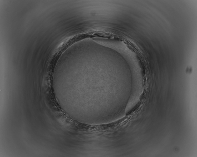 X0000091690776200708231439