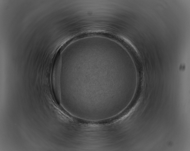 X0000091690777200708231439