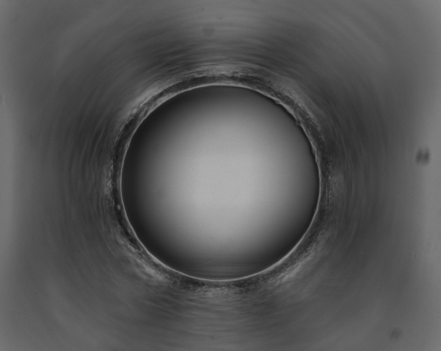 X0000091690778200708231439