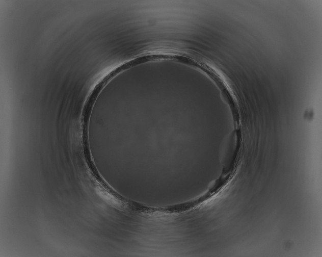 X0000091690779200708231439