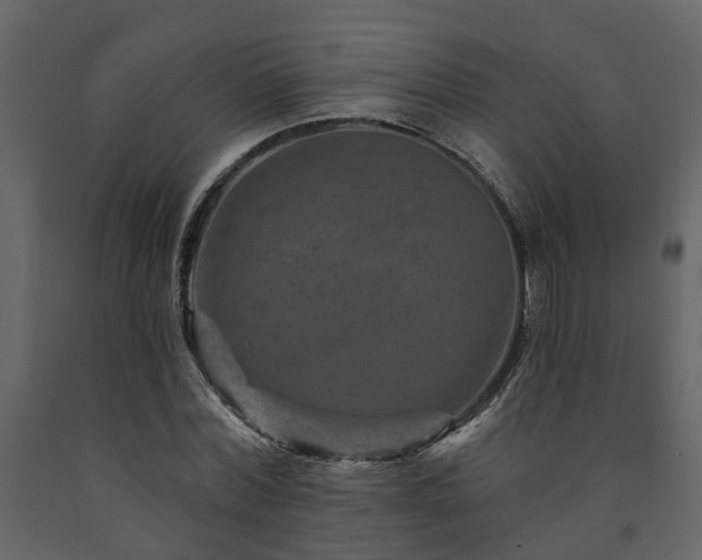 X0000091690780200708231439