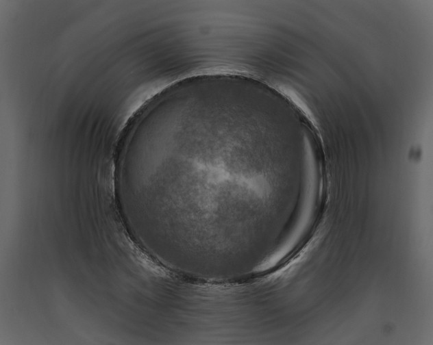 X0000091690781200708231439