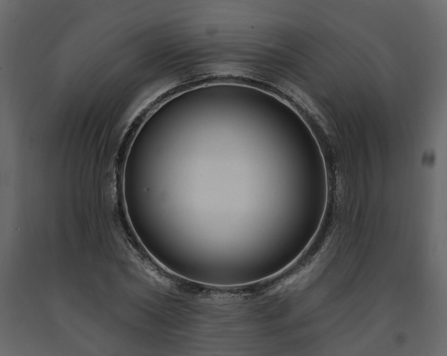 X0000091690782200708231439