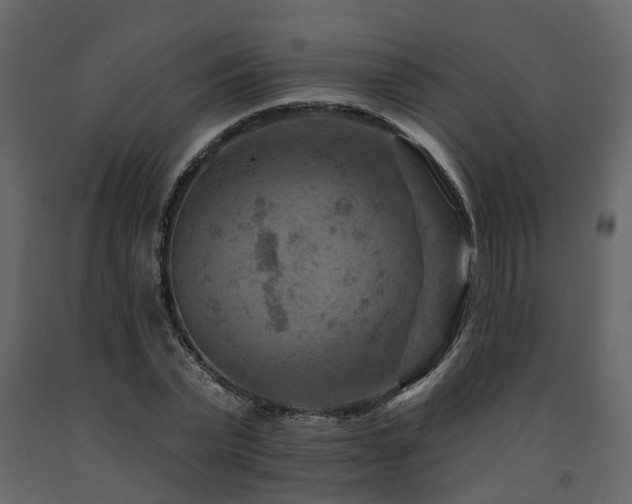 X0000091690783200708231439