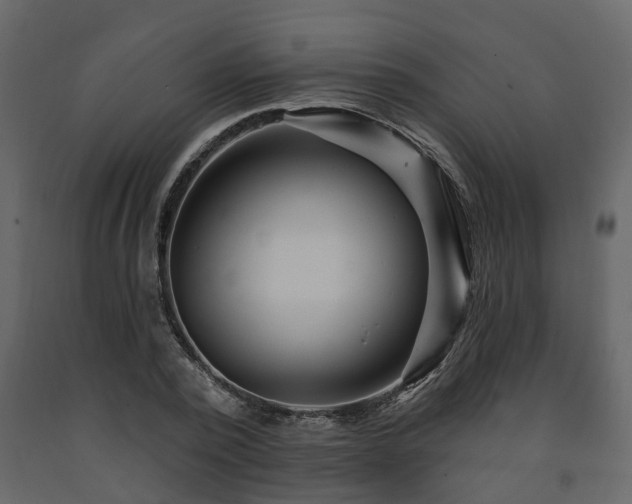X0000091690784200708231439