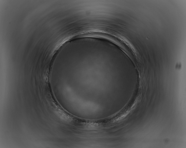X0000091690785200708231439