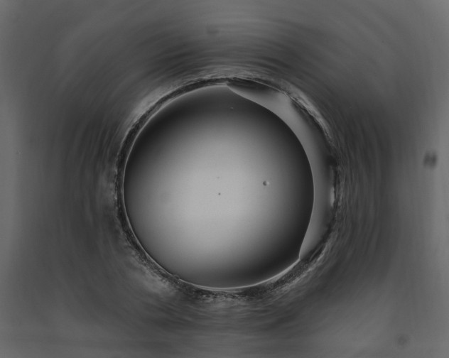 X0000091690786200708231439