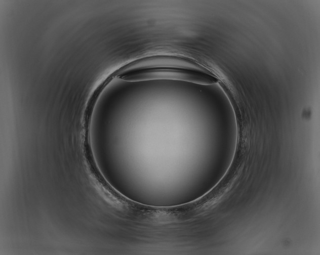 X0000091690787200708231439