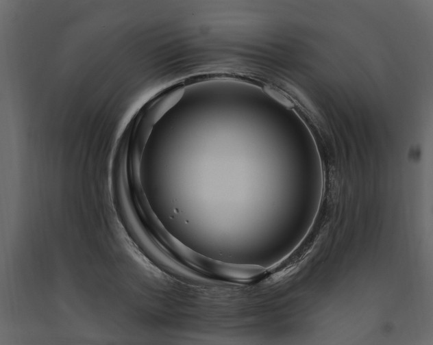 X0000091690788200708231439