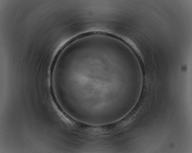X0000091690791200708231439