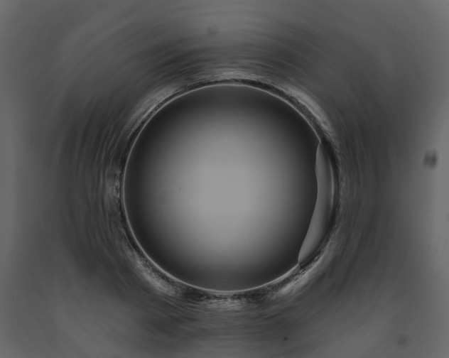 X0000091690793200708231439