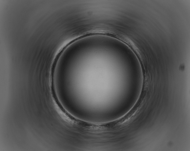X0000091690795200708231439