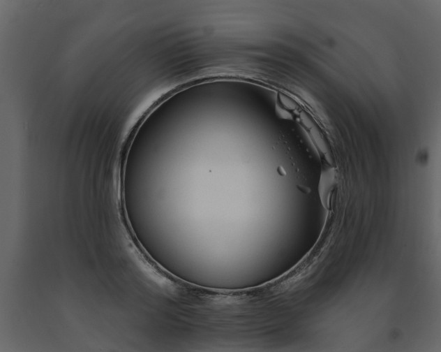 X0000091690796200708231439