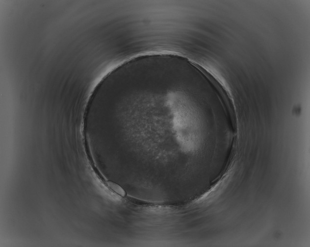 X0000091690797200708231439