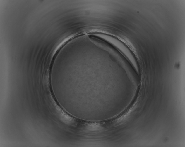 X0000091690798200708231439