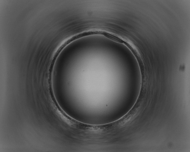 X0000091690799200708231439