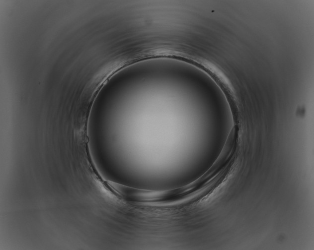 X0000091690801200708231439