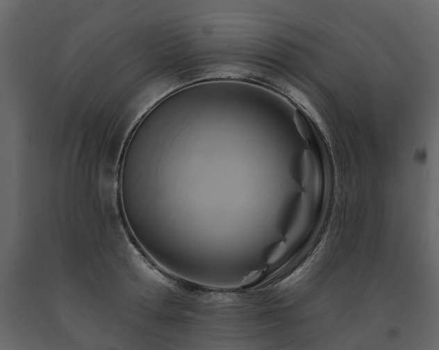 X0000091690802200708231439